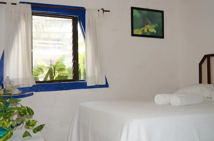 Boutique 2* Puerto Morelos