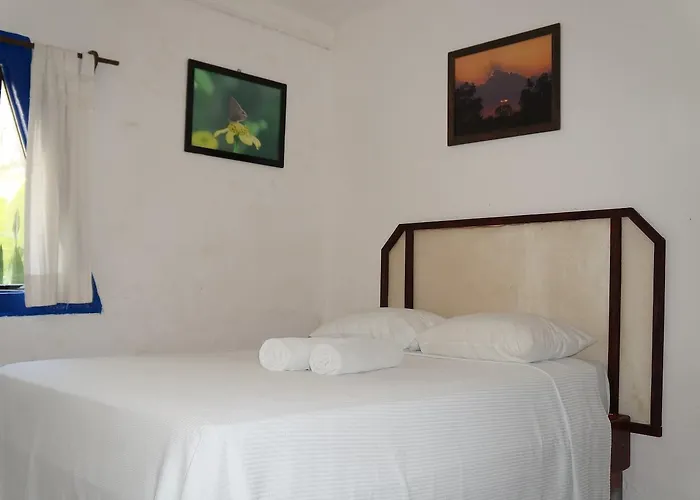 Boutique Puerto Morelos