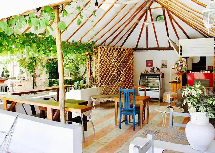 Boutique Puerto Morelos